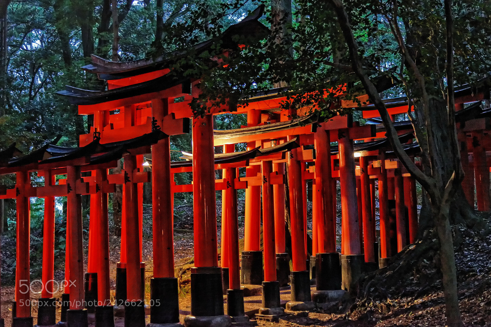 Nikon D800 sample photo. Japan px photography