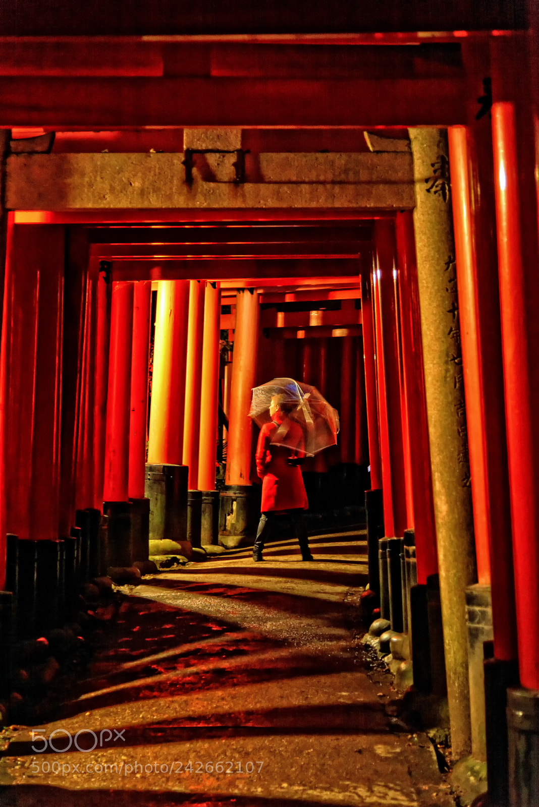 Nikon D800 sample photo. Japan px photography