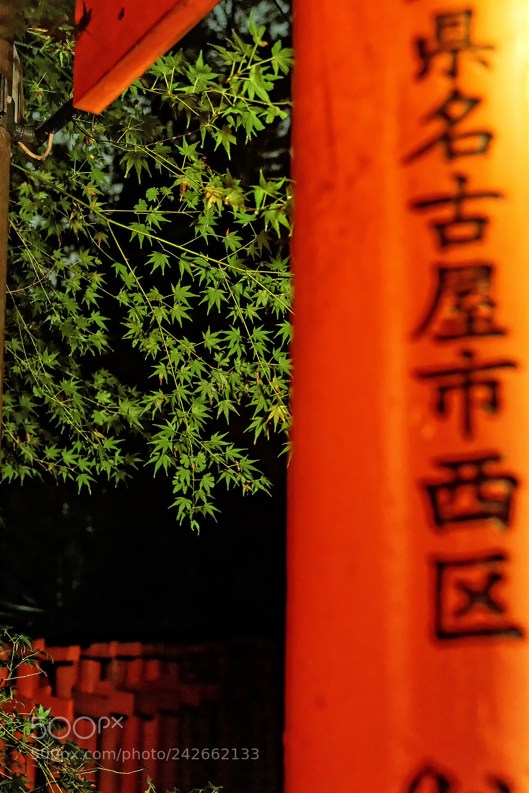 Nikon D800 sample photo. Japan px photography