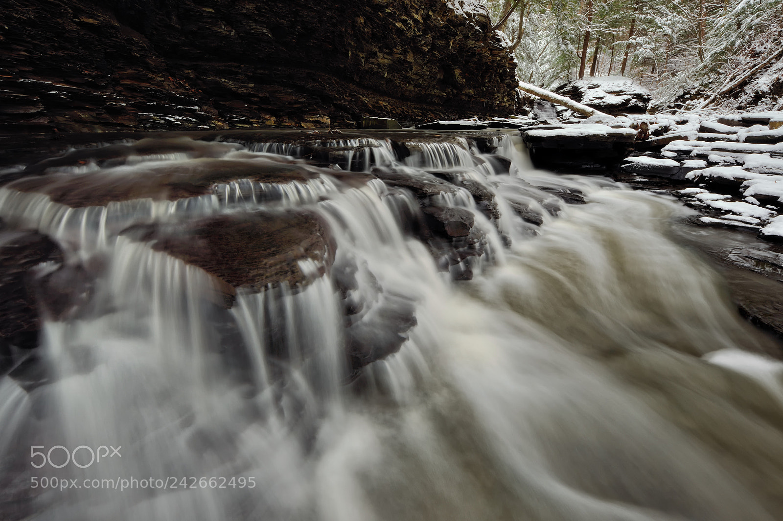 Nikon D3X sample photo. Deerlick creek intensity photography