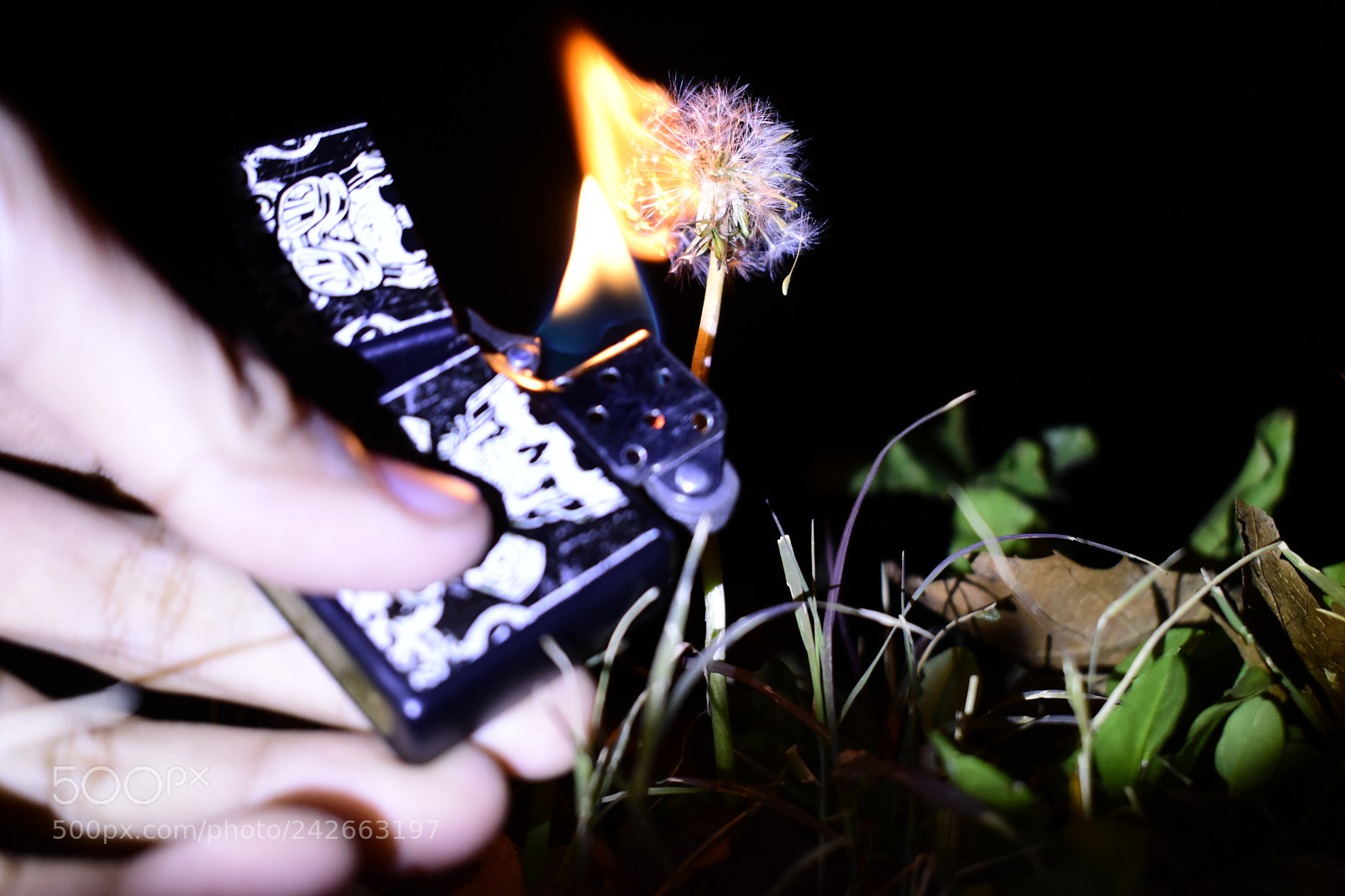 Nikon D3400 sample photo. Burning photography
