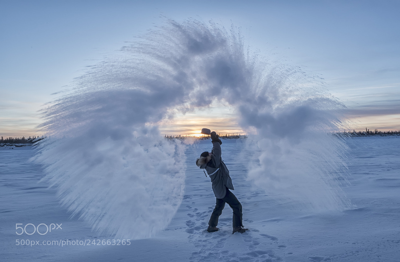 Canon EOS-1D X Mark II sample photo. Ice designs photography