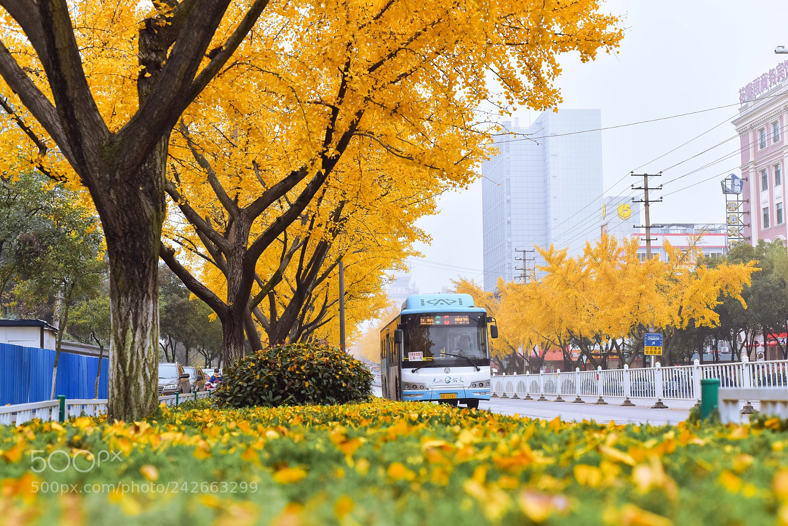 Nikon D810 sample photo. Golden city photography