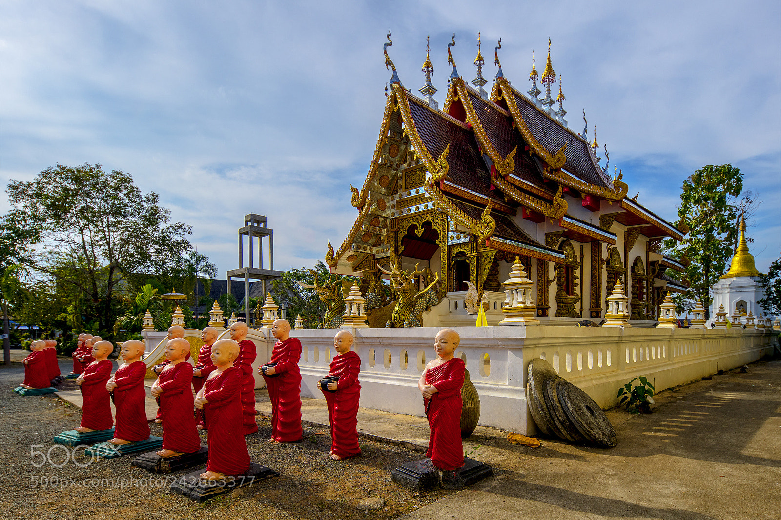 Nikon D850 sample photo. Bonzini photography