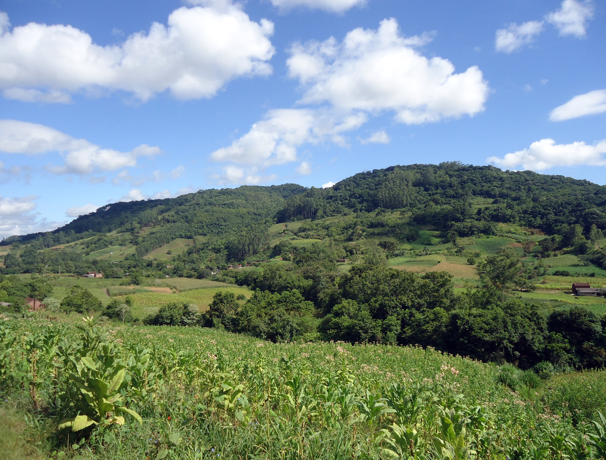 Sony Cyber-shot DSC-W530 sample photo. Countryside's beauty photography