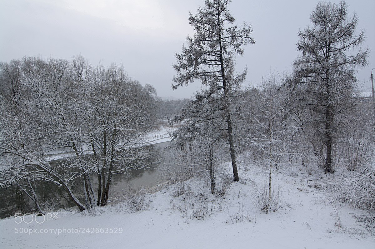 Pentax K-7 sample photo. Two trees over the photography