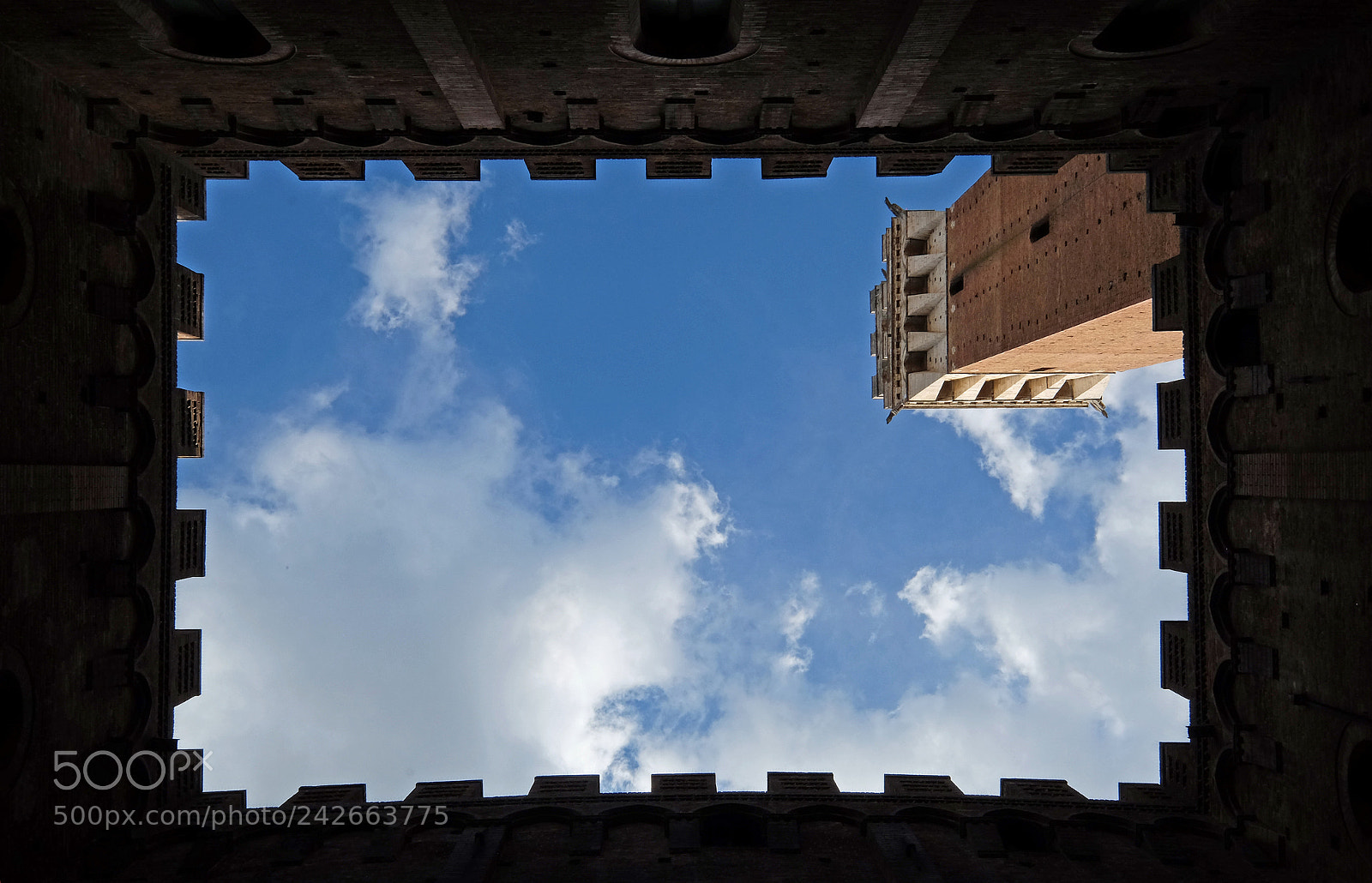Fujifilm X-T1 sample photo. Reach for the sky photography