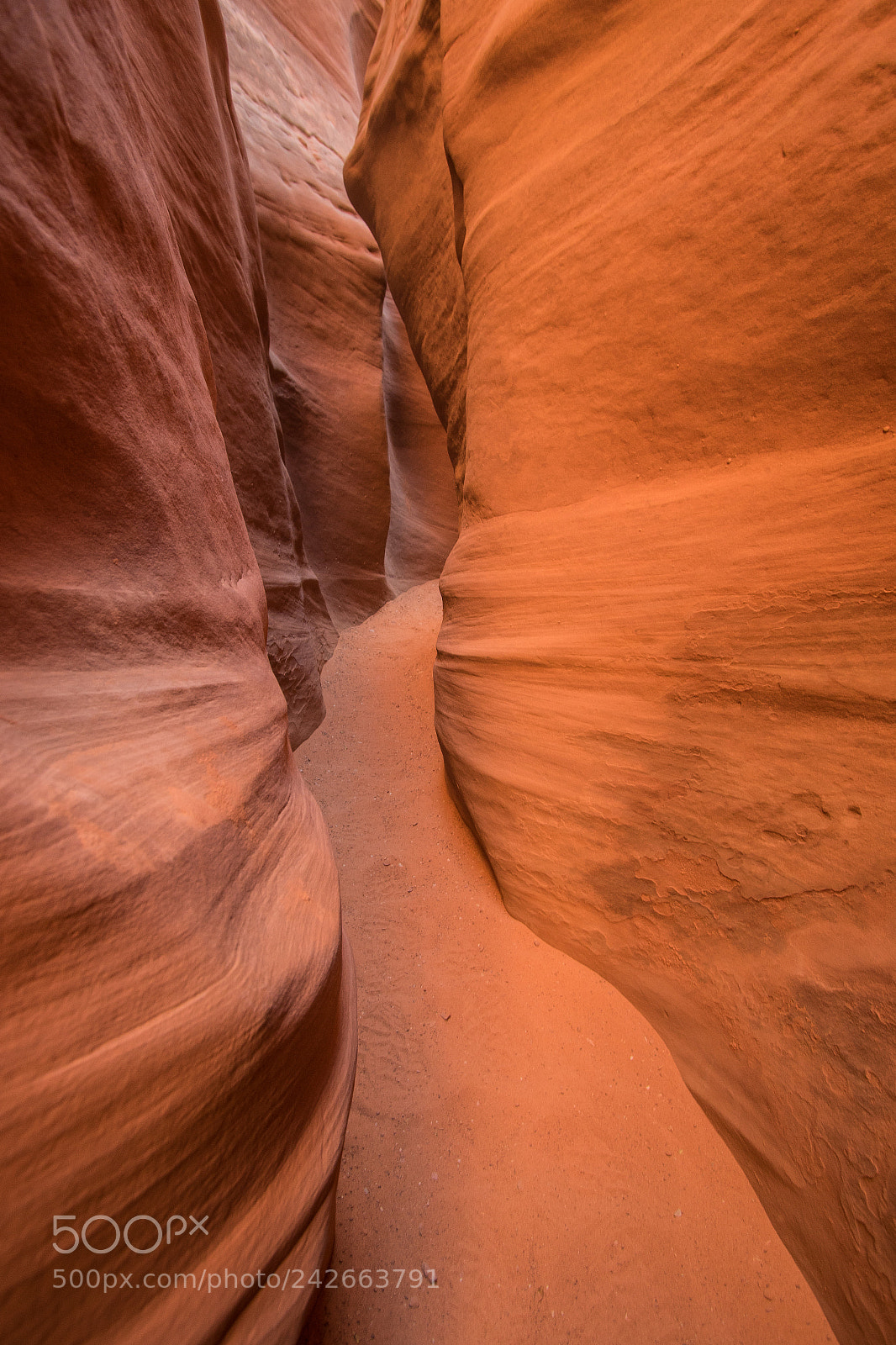 Canon EOS 7D Mark II sample photo. Spooky gulch photography