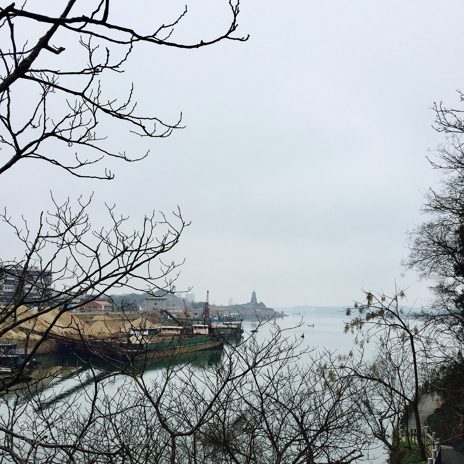 Apple iPhone 6 sample photo. 32678571976.jpg photography