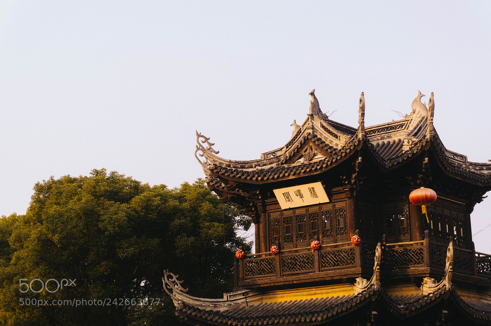 Sony Alpha a5000 (ILCE 5000) sample photo. 32209302195.jpg photography