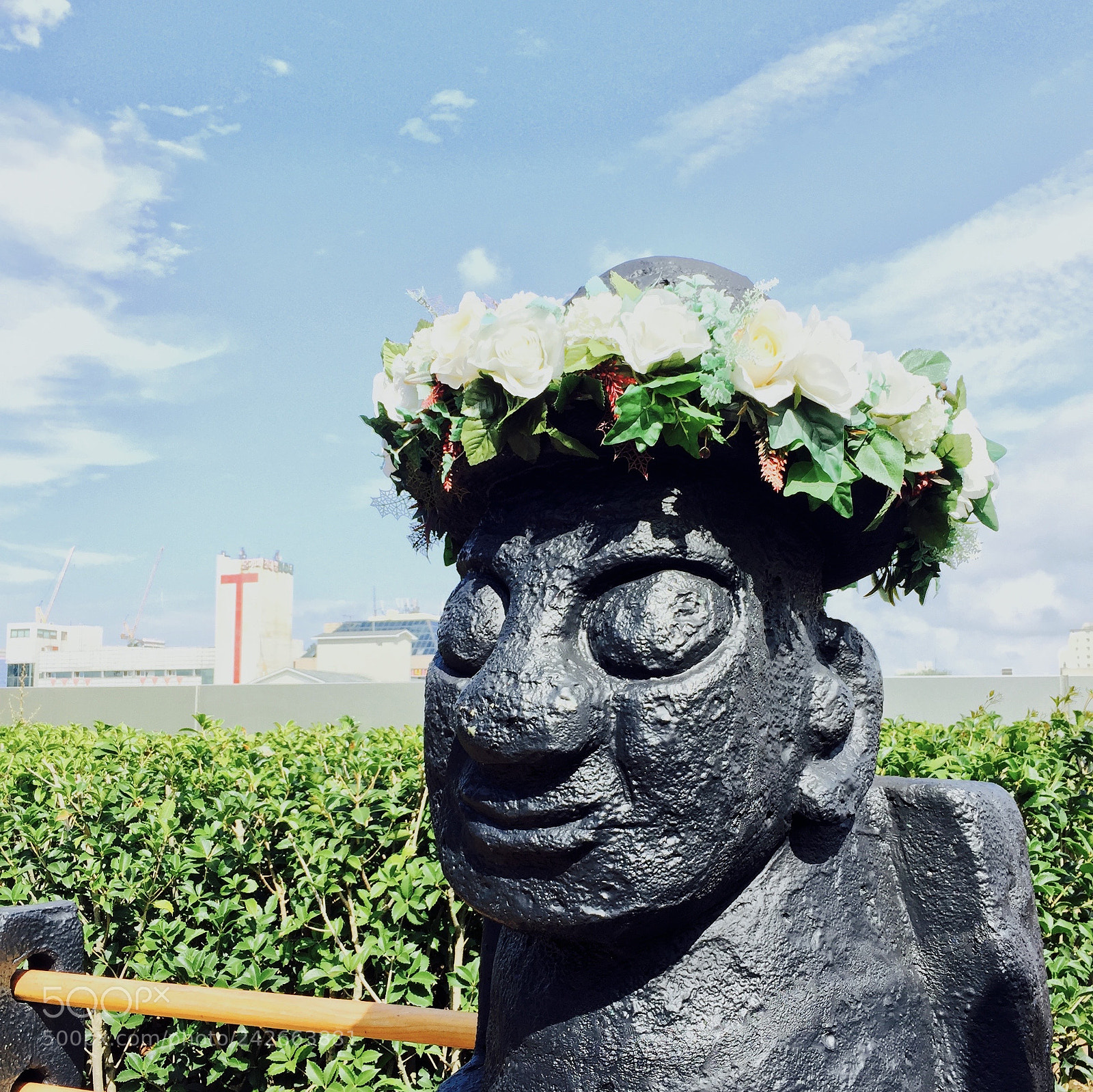 Apple iPhone 6 sample photo. 30903293904.jpg photography