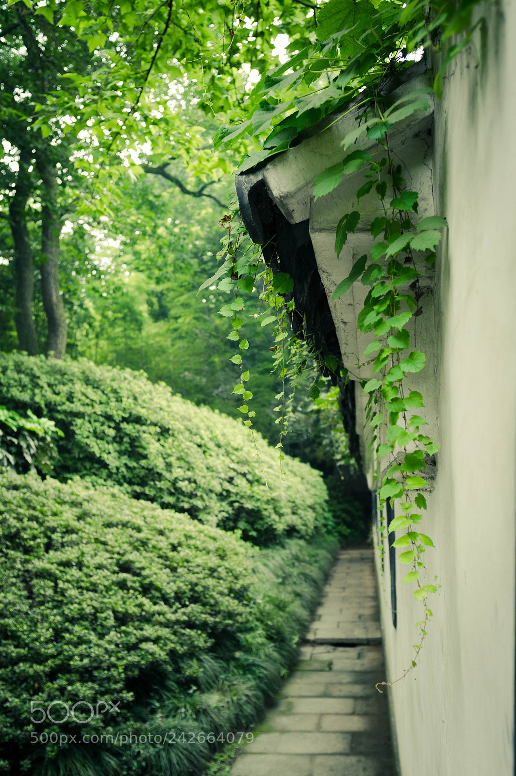 Fujifilm FinePix X100 sample photo. 7507491674.jpg photography
