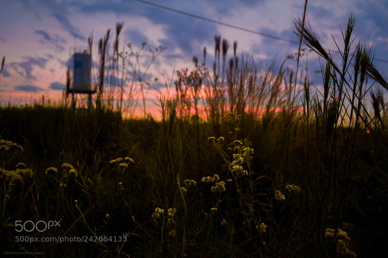 Nikon D3100 sample photo. Sunset nature photography