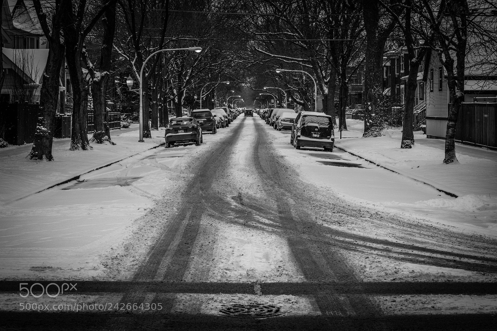 Nikon D850 sample photo. Neighborhood perspective photography