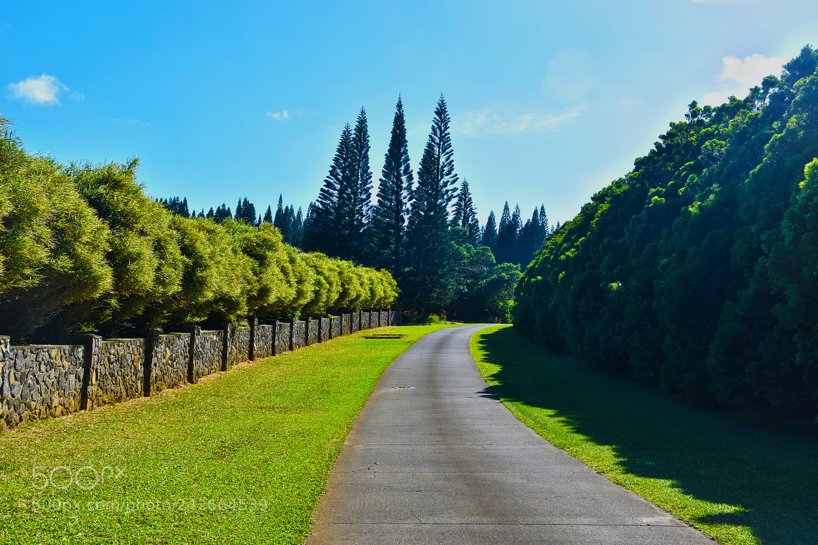Nikon D7200 sample photo. Mauna wai rd photography