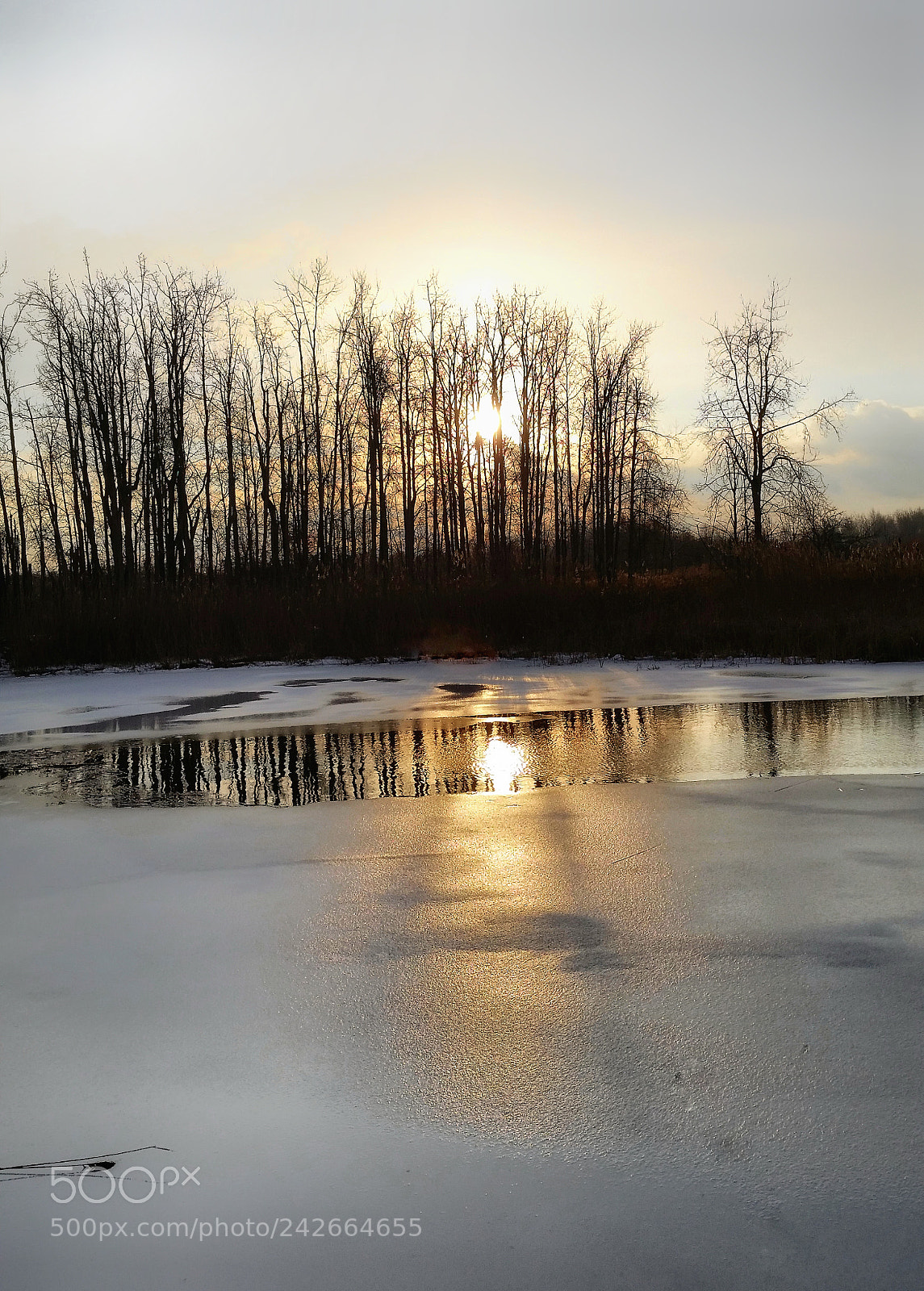 Samsung Galaxy S5 sample photo. Winter pond photography