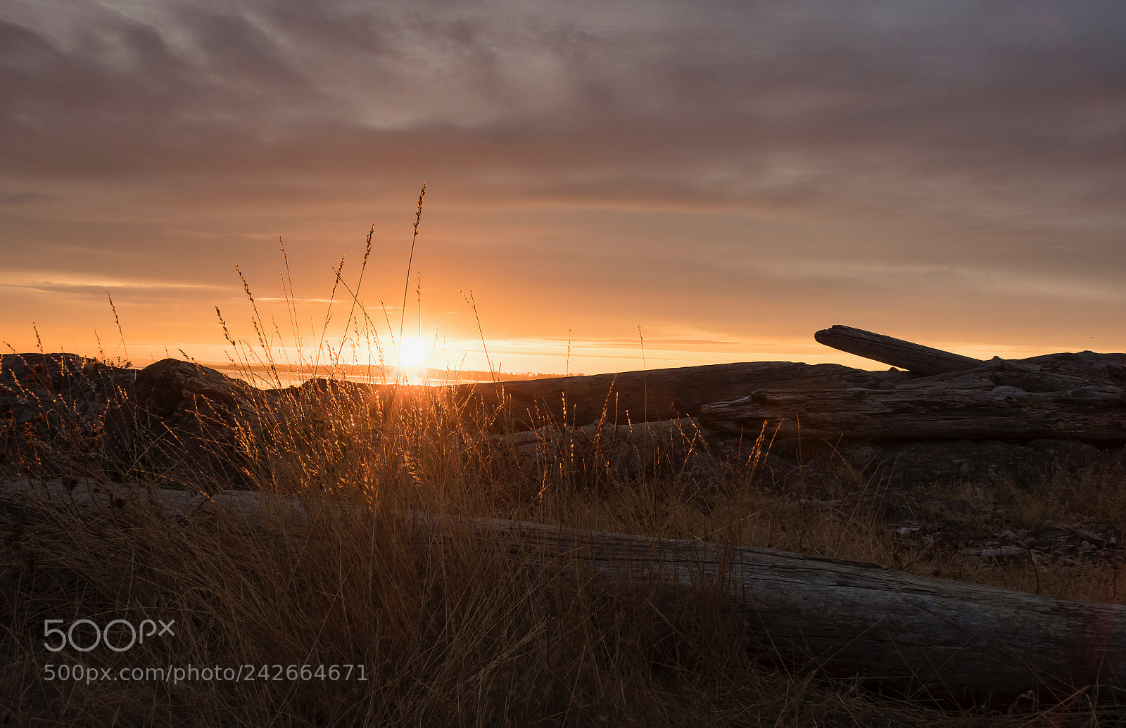 Nikon D500 sample photo. Victoria beach photography