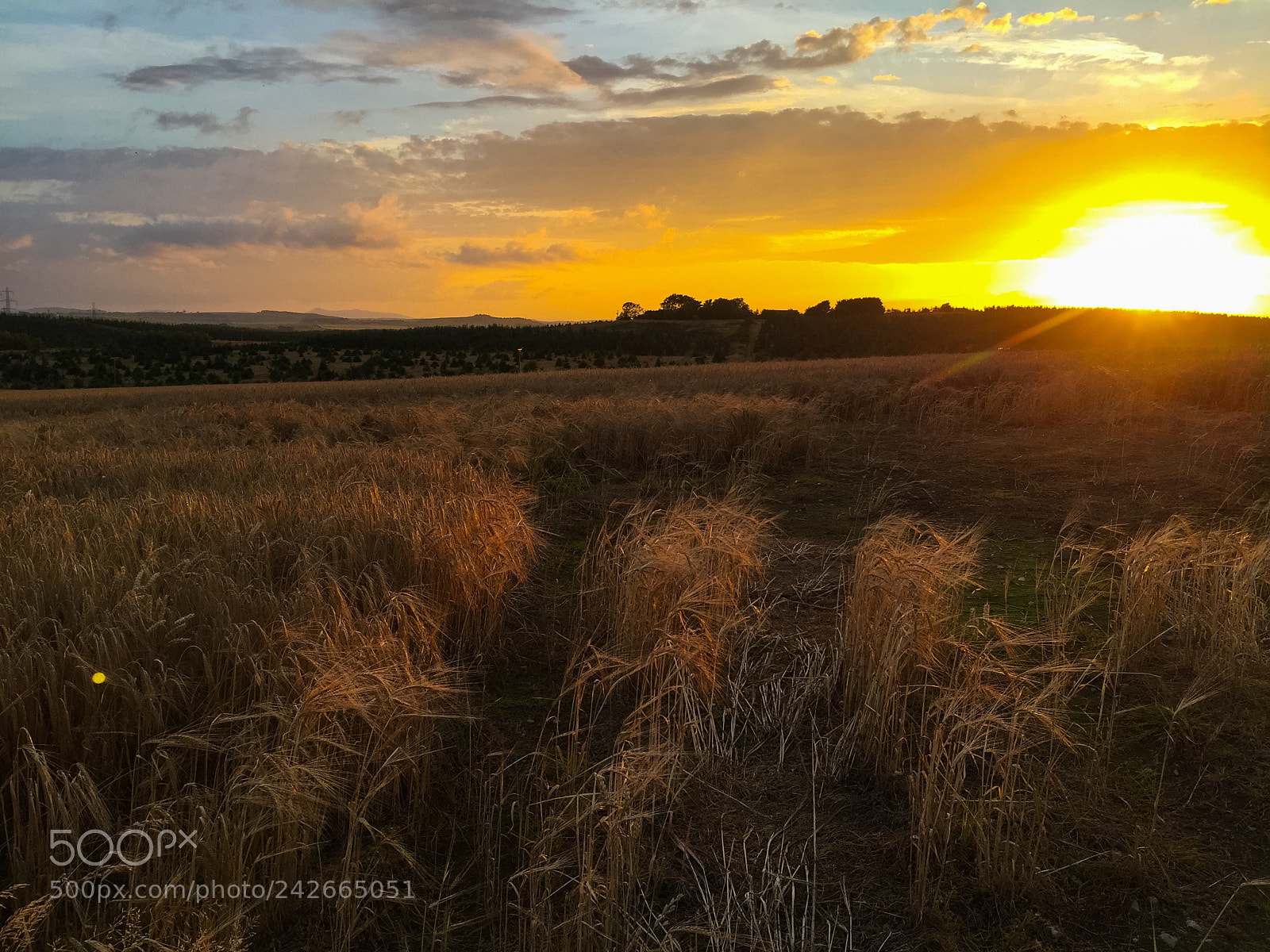 Apple iPhone 6 sample photo. Scenic view of sunset photography