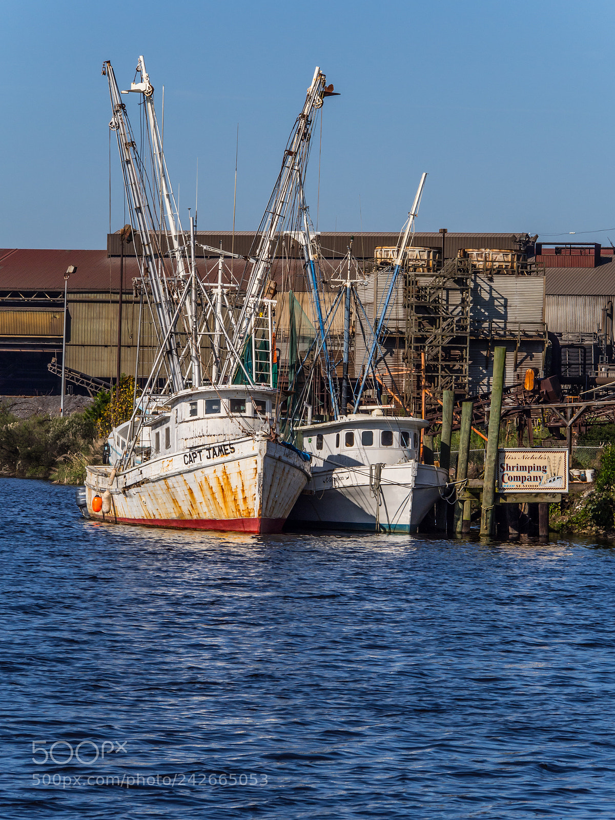 Olympus OM-D E-M10 sample photo. Georgetown sc photography