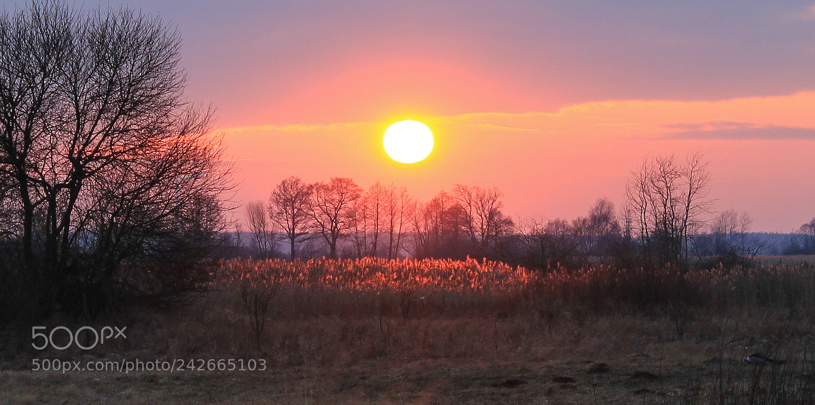 Canon EOS 1200D (EOS Rebel T5 / EOS Kiss X70 / EOS Hi) sample photo. Freezing sunset photography