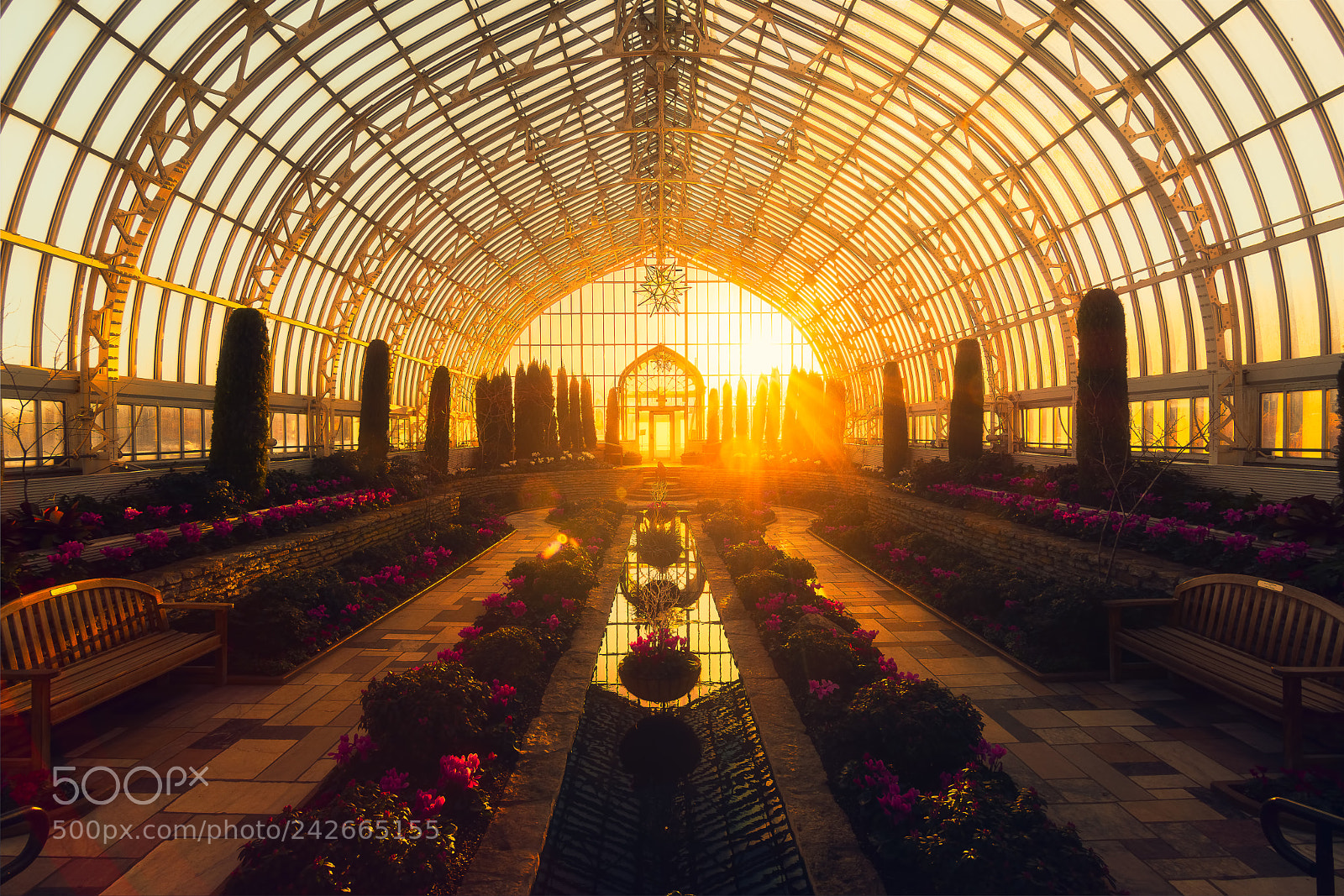 Nikon D7100 sample photo. Sunken garden at sunset photography