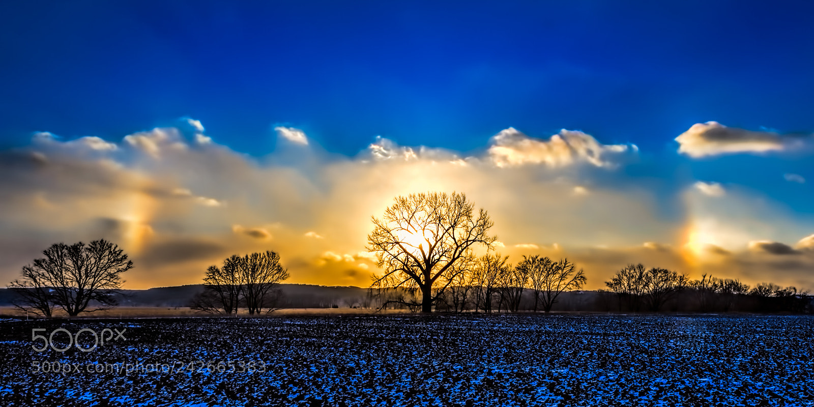 Nikon D500 sample photo. Sun dogs at sunset photography