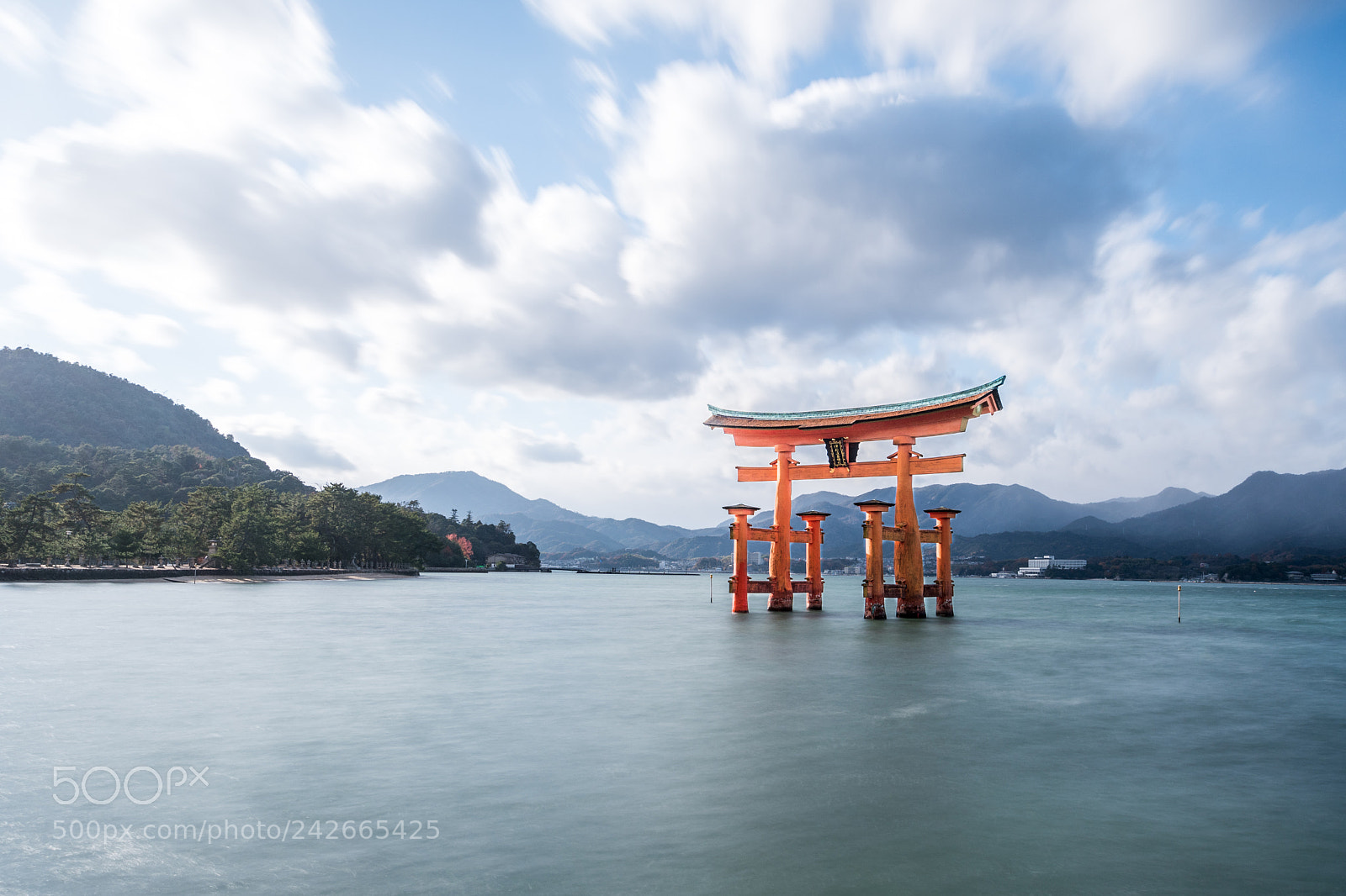 Nikon D7500 sample photo. The great torii photography