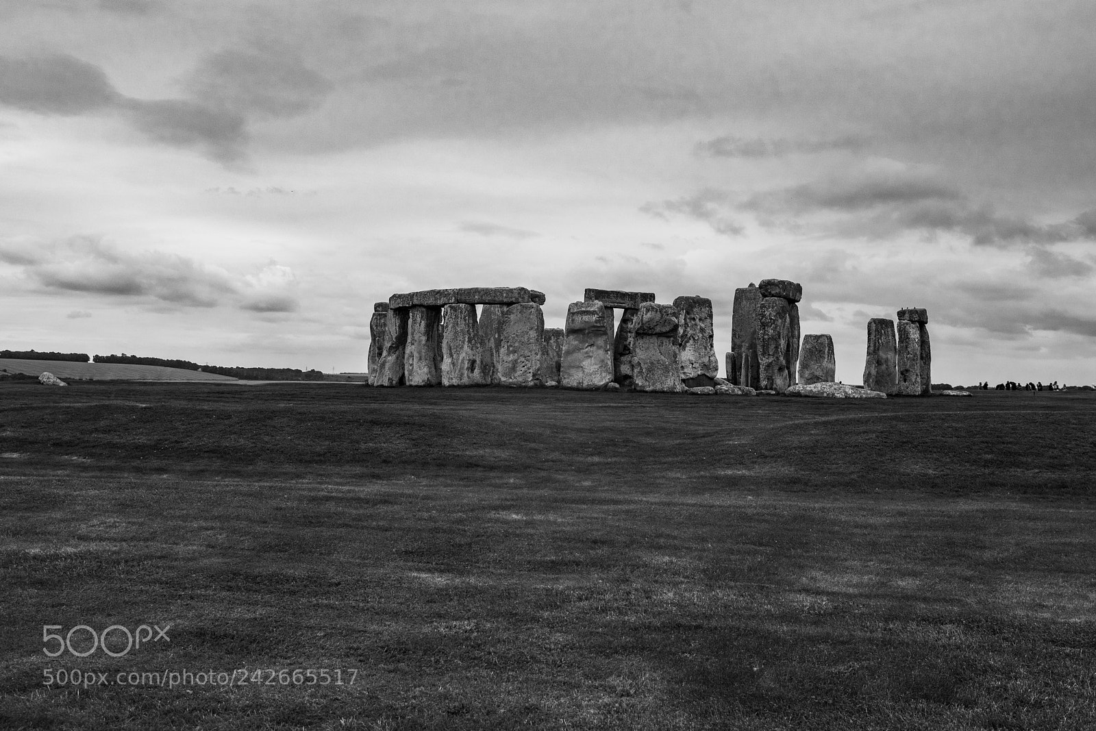 Nikon D810 sample photo. Stone henge photography