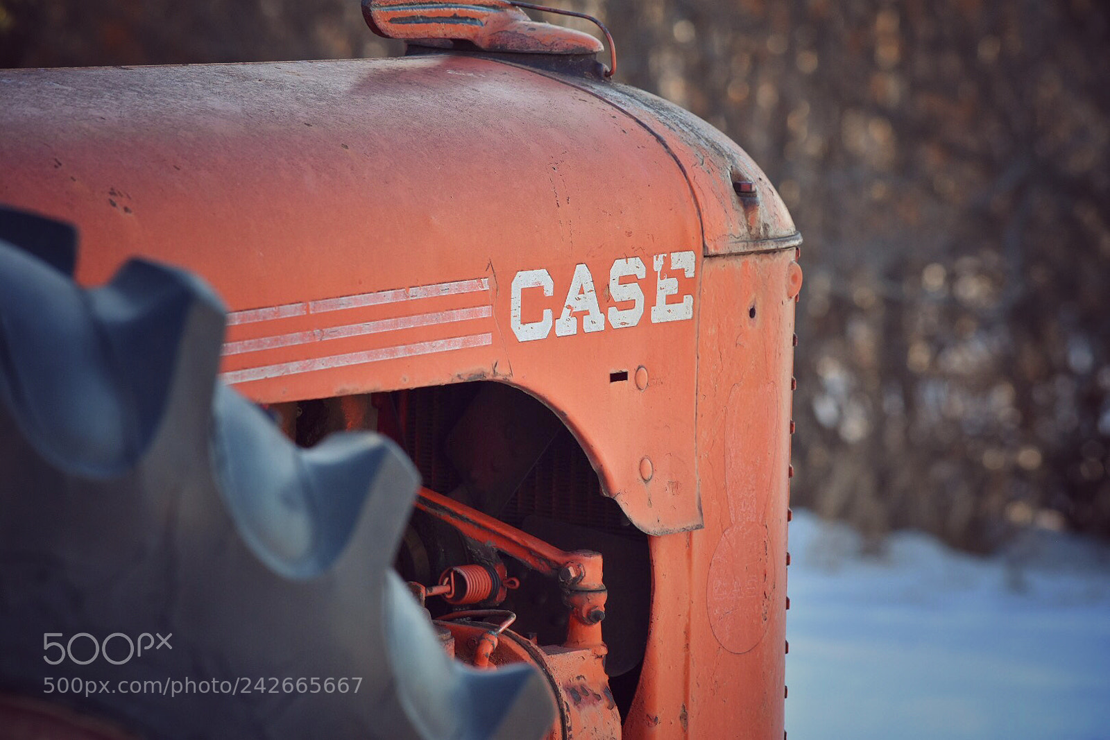 Nikon D7200 sample photo. Untitled photography