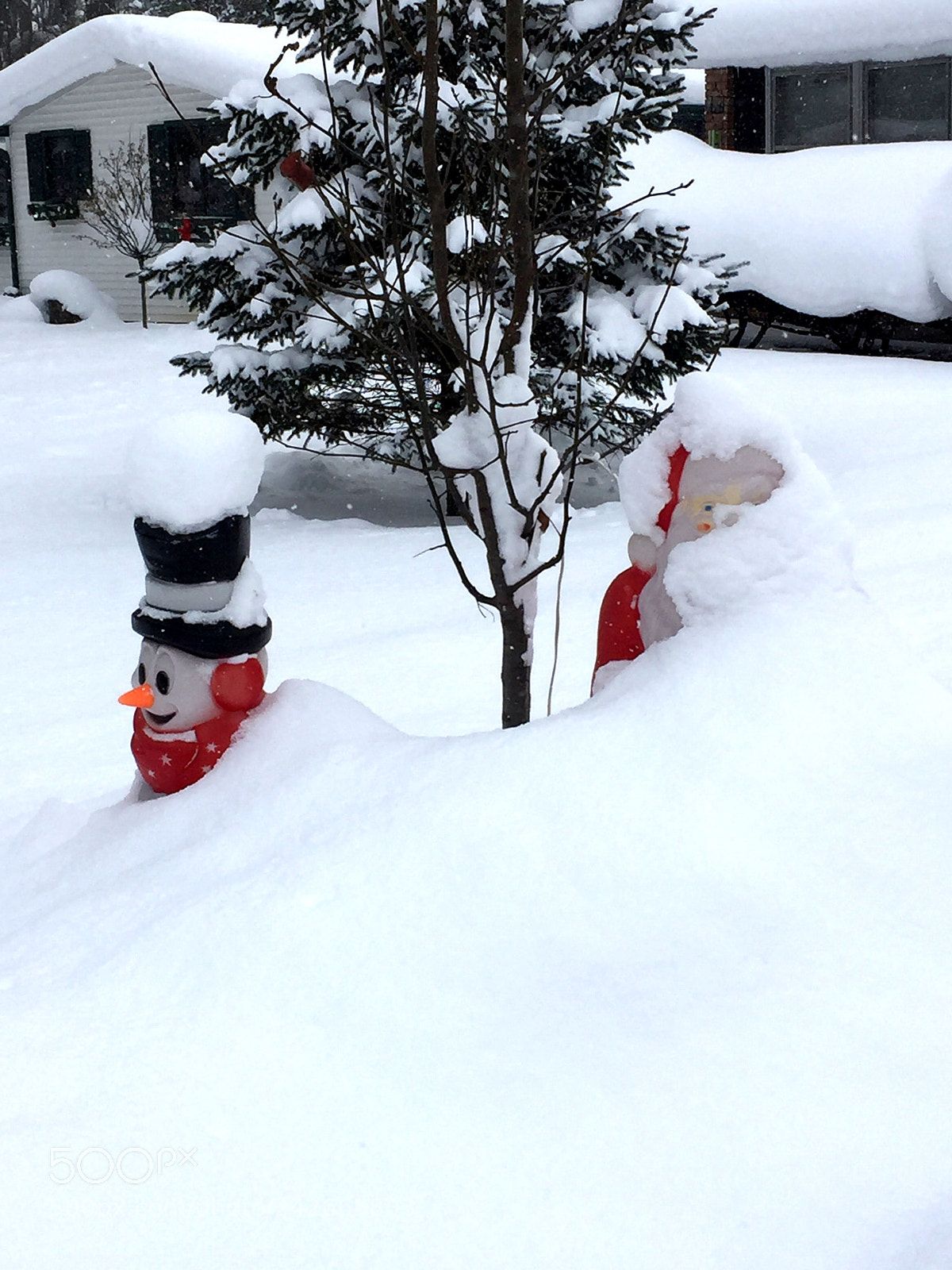 Apple iPhone 6 Plus sample photo. Snowed in. photography
