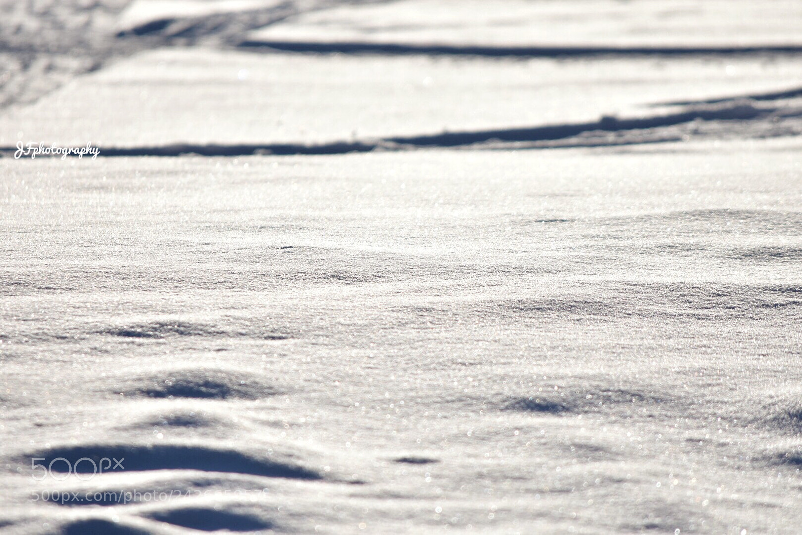 Nikon D7200 sample photo. Untitled photography