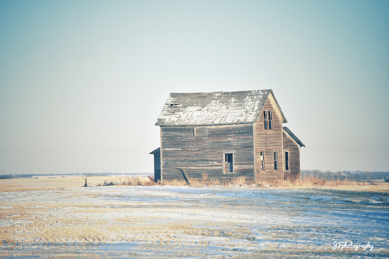 Nikon D7200 sample photo. Untitled photography