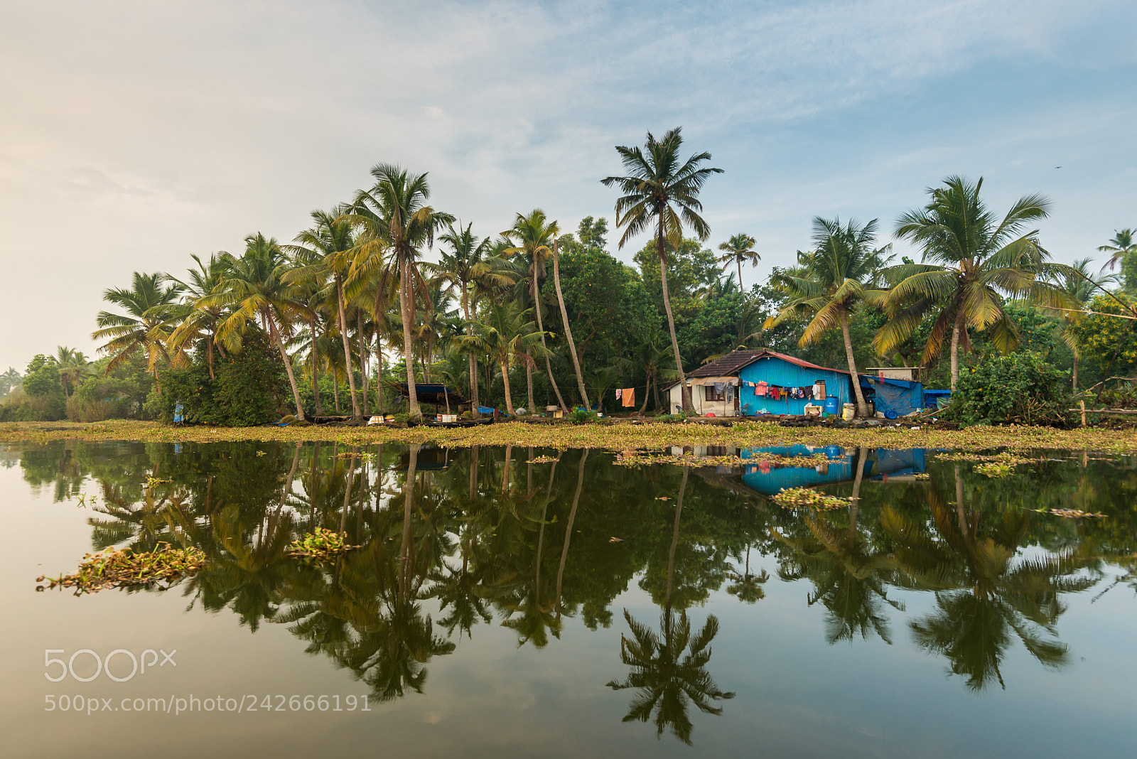 Nikon D610 sample photo. Beautiful kerala photography