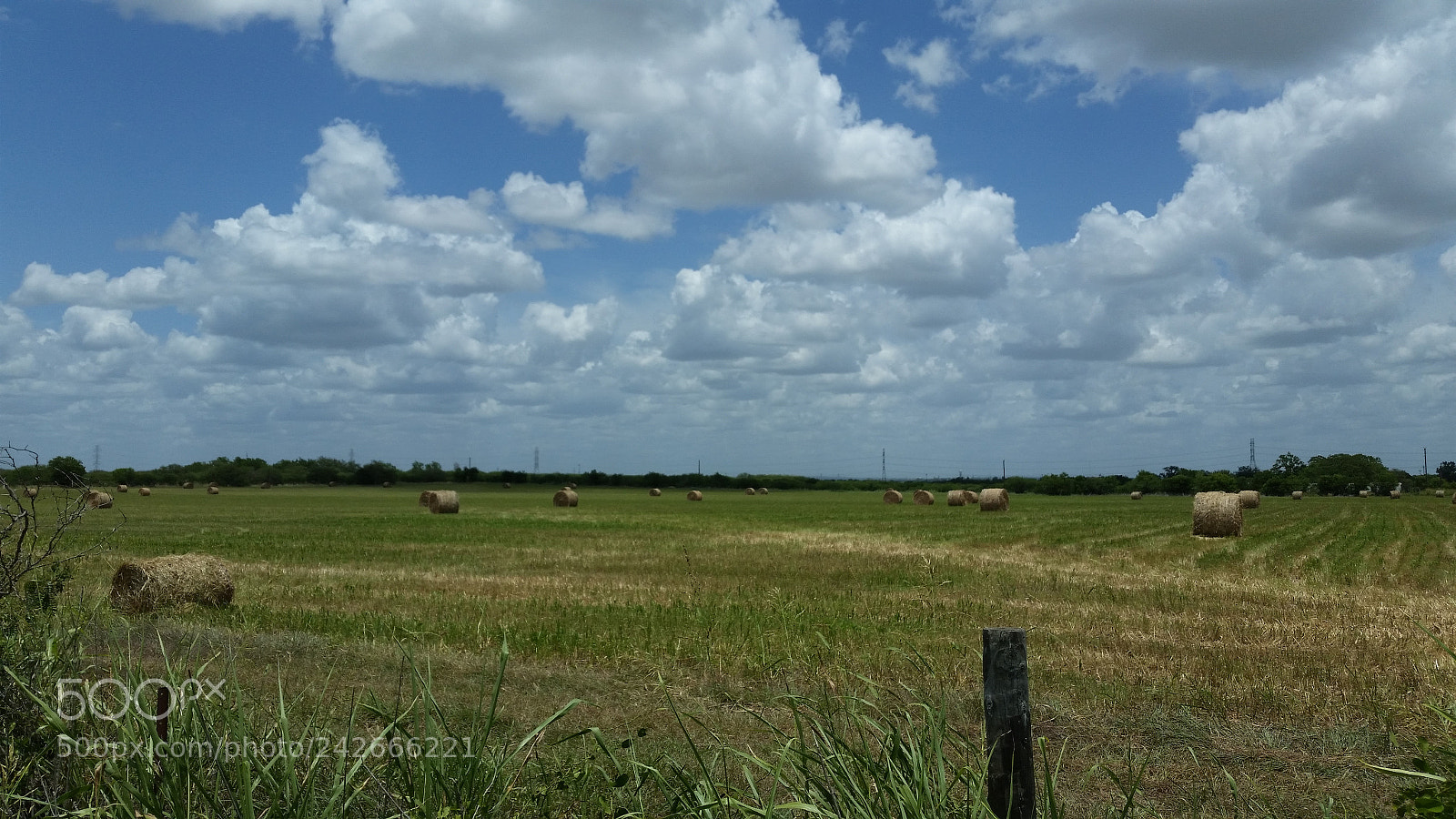 Samsung Galaxy S5 sample photo. Country serenity photography