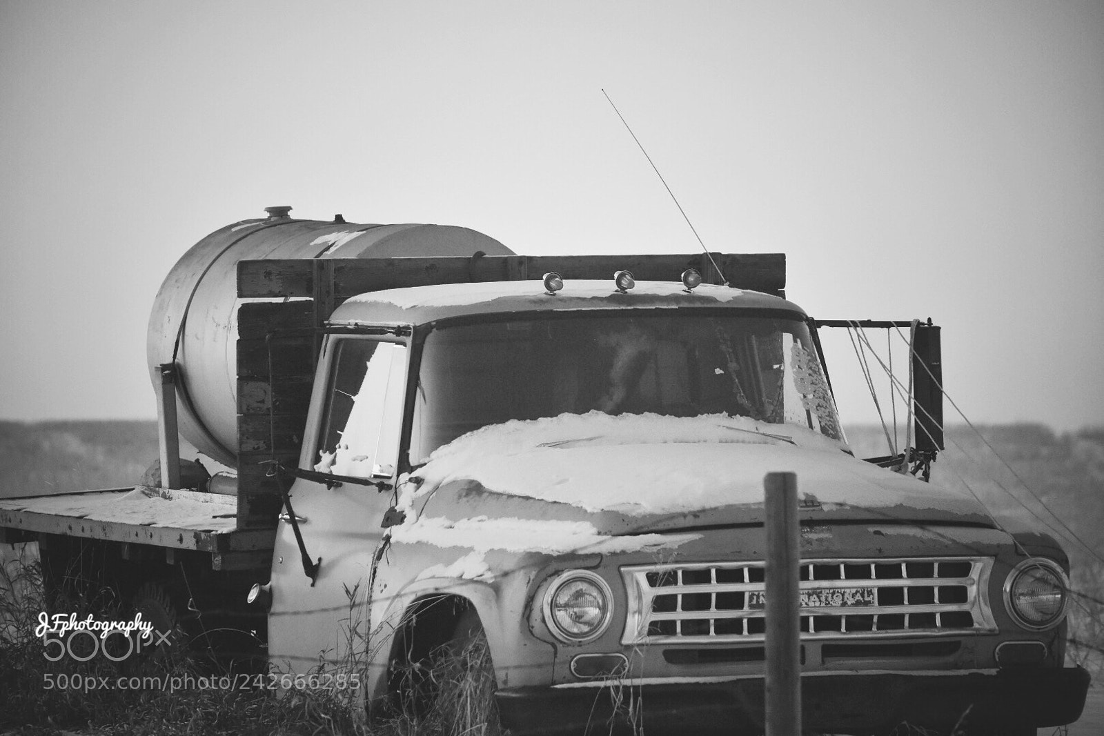 Nikon D7200 sample photo. Untitled photography