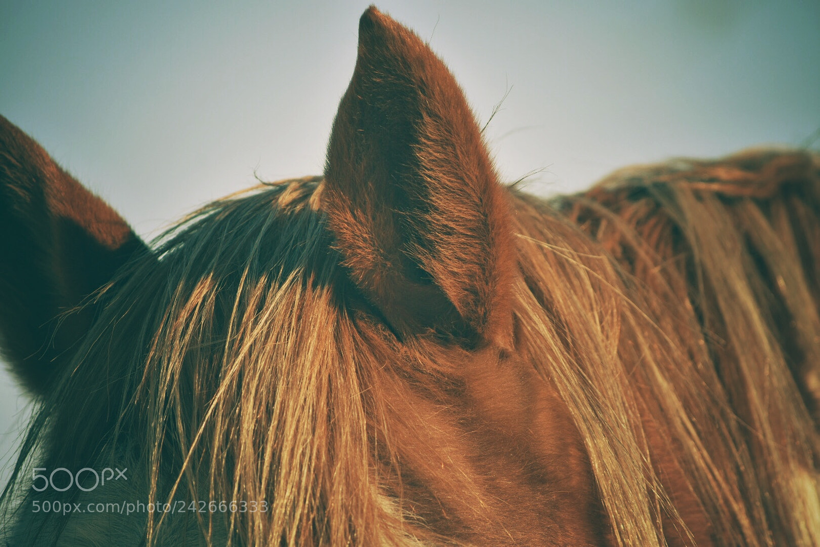 Nikon D7200 sample photo. Untitled photography