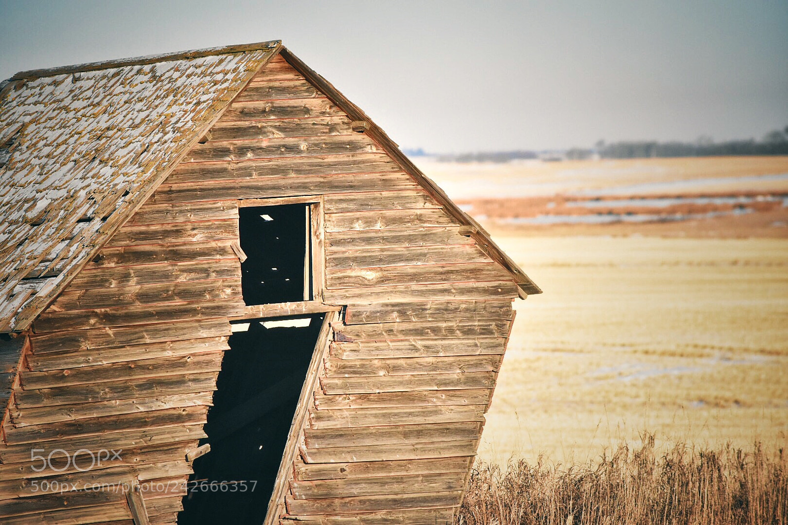 Nikon D7200 sample photo. Untitled photography