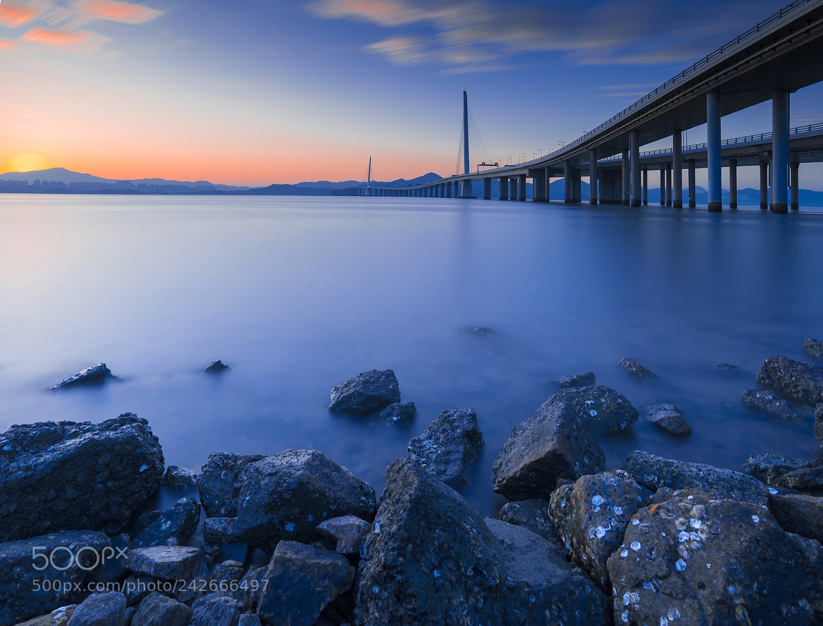 Nikon D610 sample photo. 深圳湾-2 photography