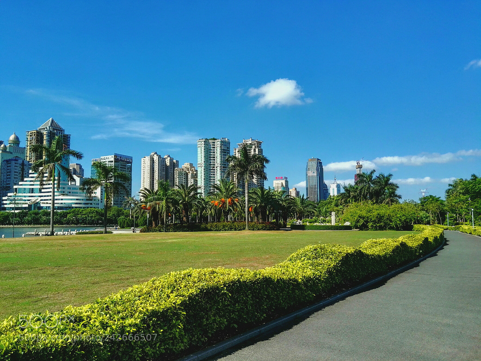 HUAWEI P8 sample photo. 厦门随拍 photography