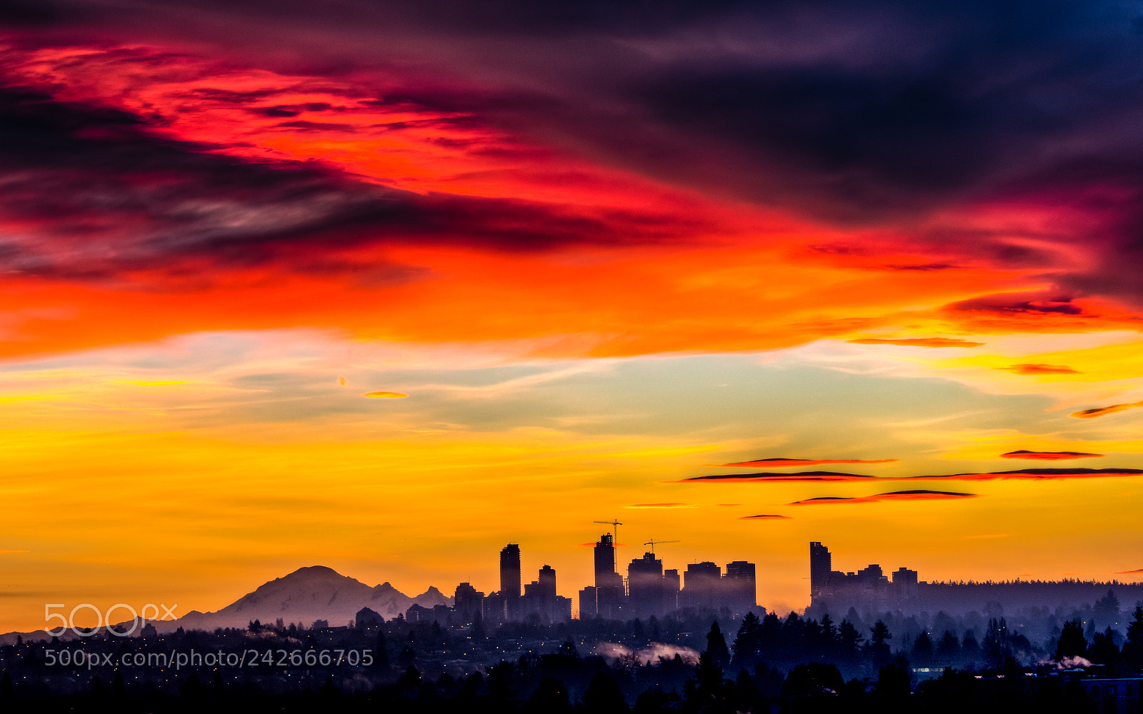 Nikon D500 sample photo. Vancouver sunrise photography