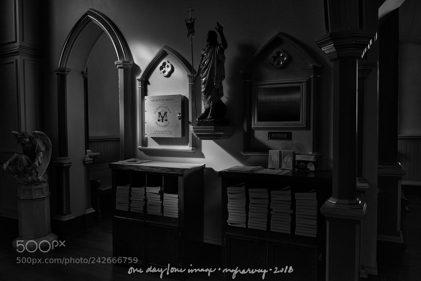Nikon D810 sample photo. These breathing shadows photography