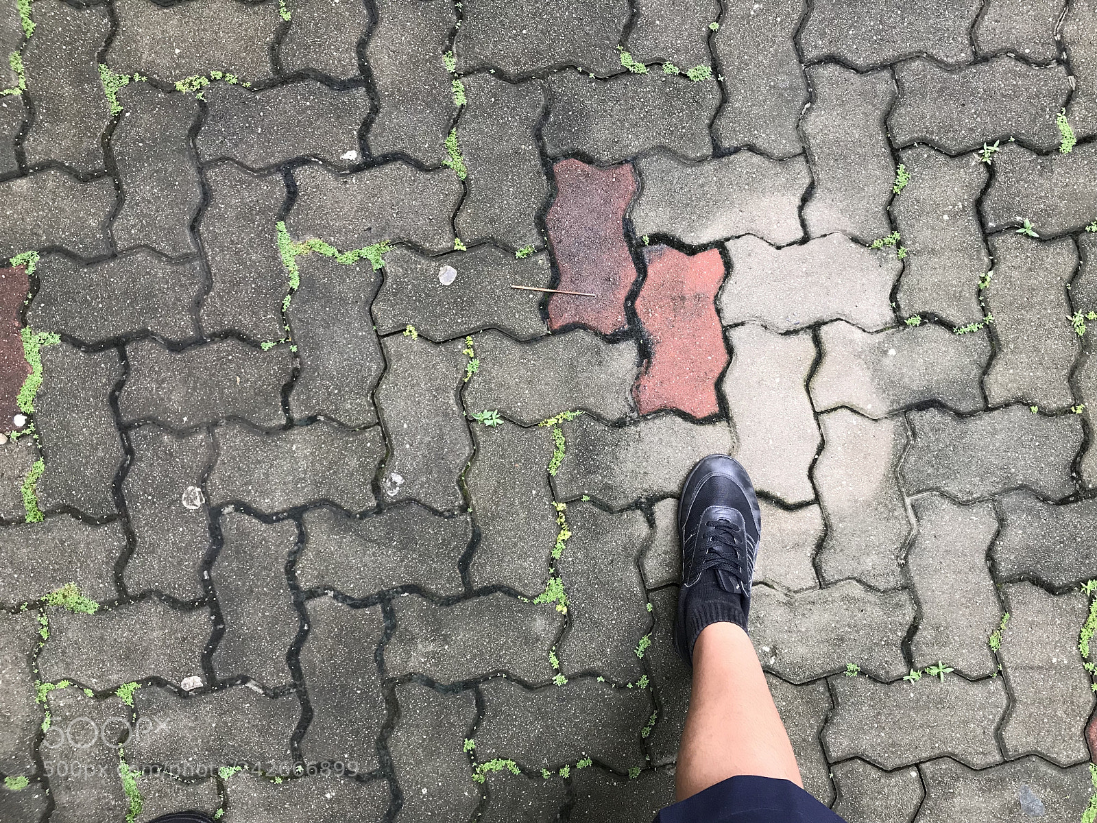 Apple iPhone 7 Plus sample photo. Rule of third photography