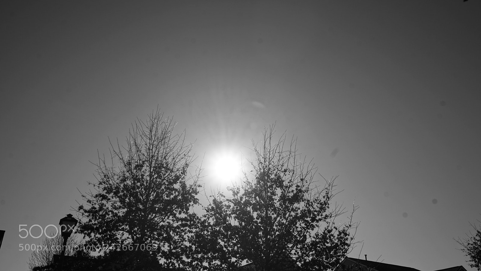 Sony a7 II sample photo. Dsc photography