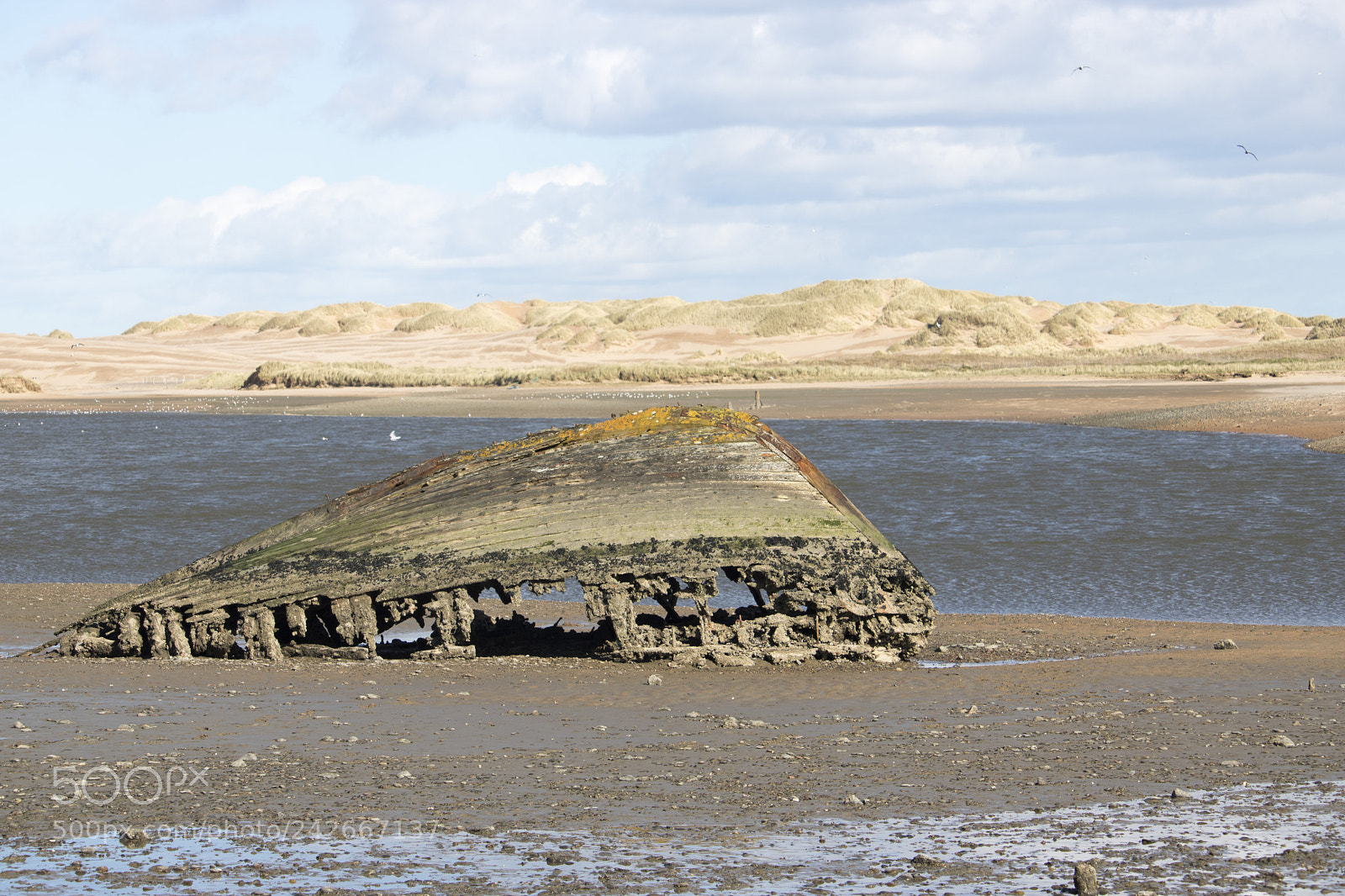 Canon EOS 750D (EOS Rebel T6i / EOS Kiss X8i) sample photo. View of wreck on photography