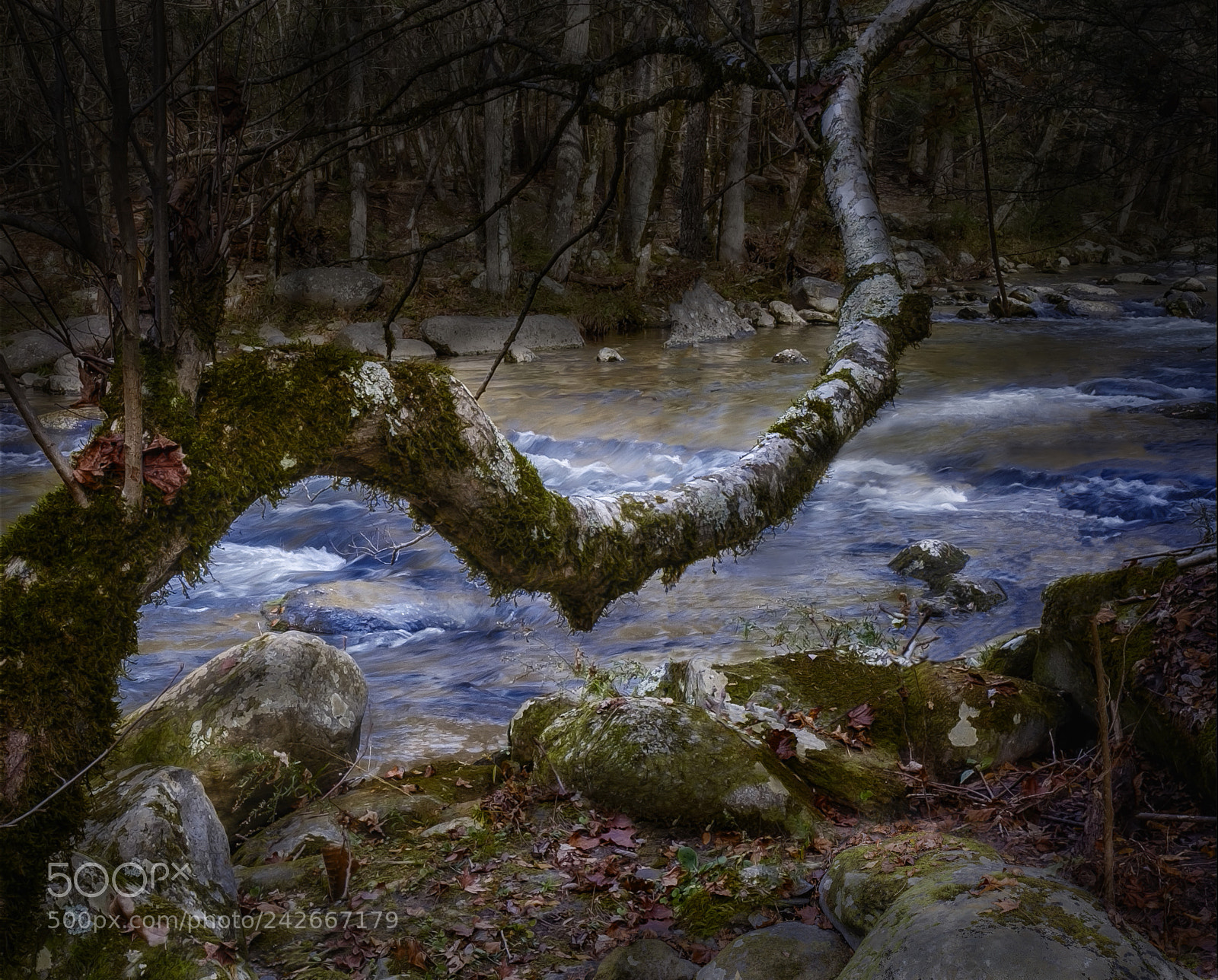 Fujifilm X-T1 sample photo. Middle prong little river photography