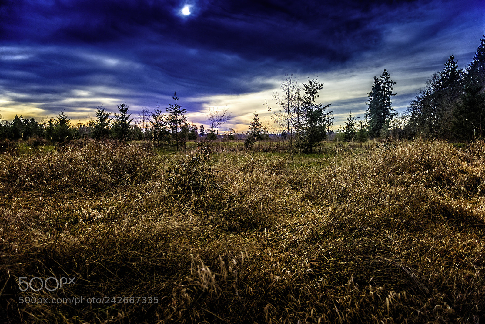 Nikon D810 sample photo. Morning sky photography