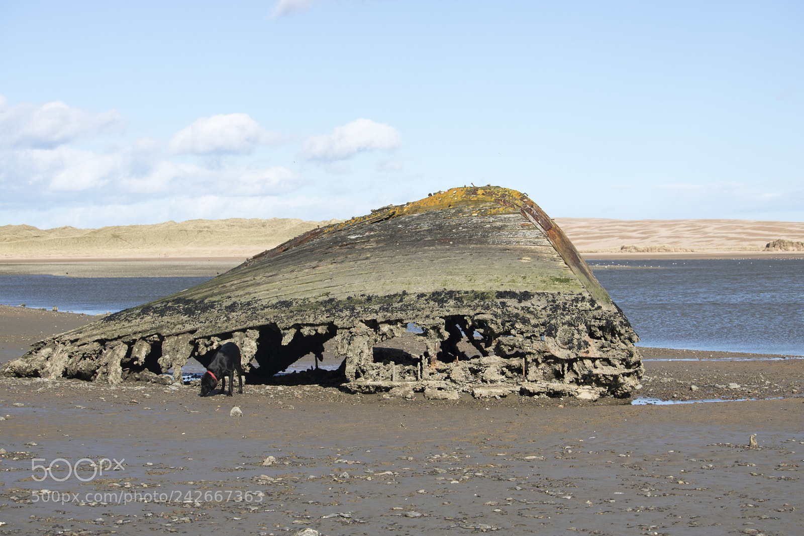 Canon EOS 750D (EOS Rebel T6i / EOS Kiss X8i) sample photo. View of wreck on photography