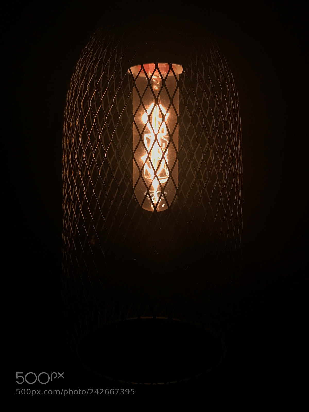 Apple iPhone 7 Plus sample photo. Untitled photography