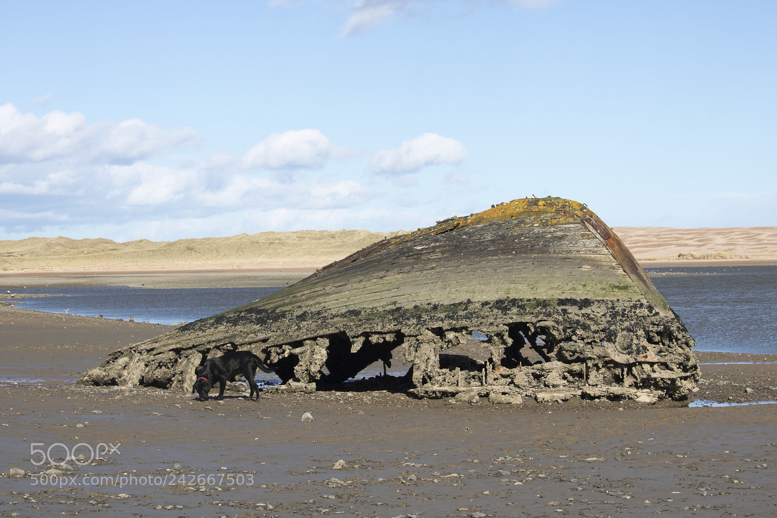 Canon EOS 750D (EOS Rebel T6i / EOS Kiss X8i) sample photo. View of wreck on photography