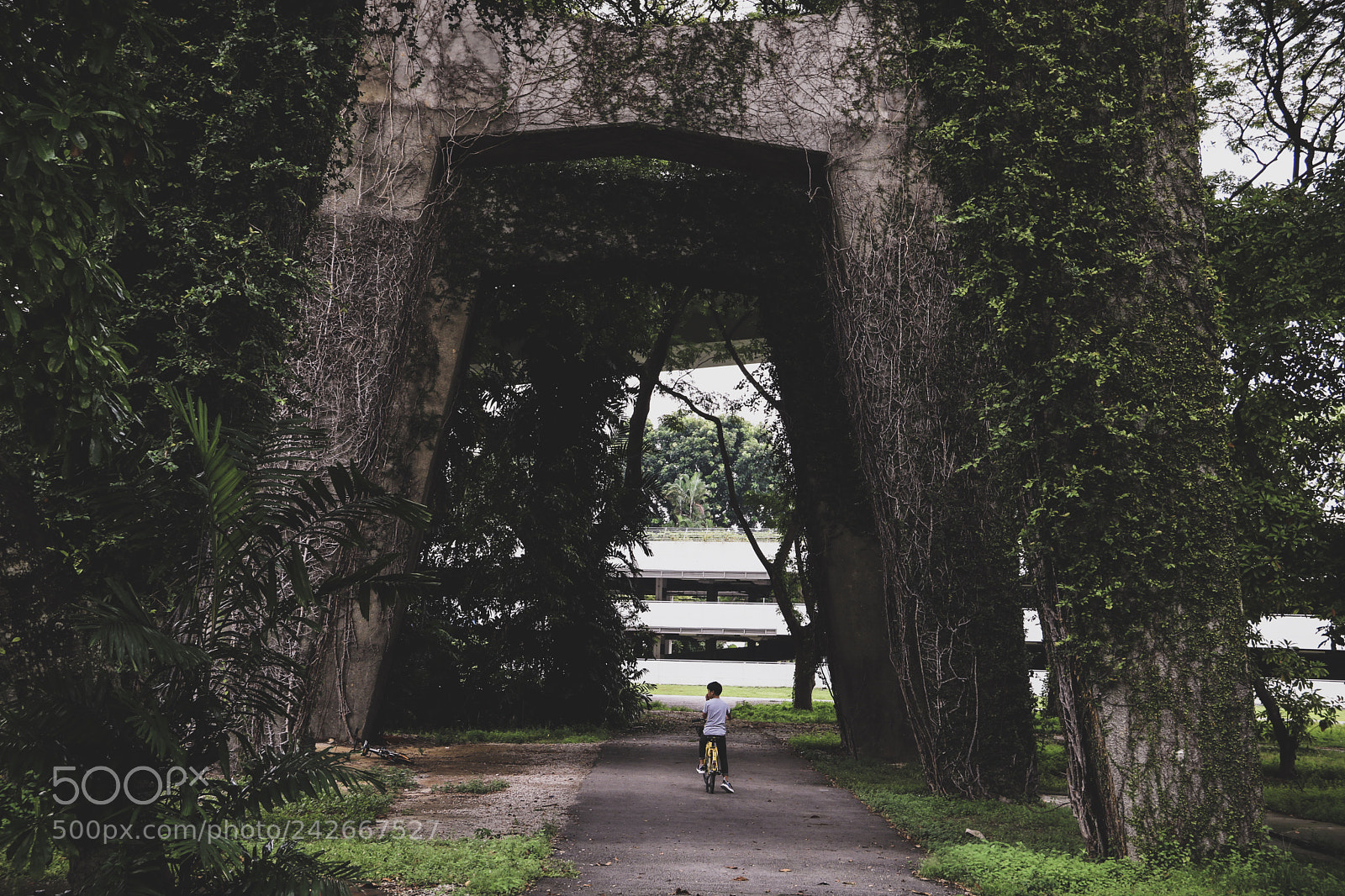 Canon EOS 760D (EOS Rebel T6s / EOS 8000D) sample photo. 06_shears bridge photography